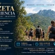 zeta-experience